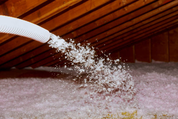 Trusted Oakdale, LA Insulation Contractor Experts
