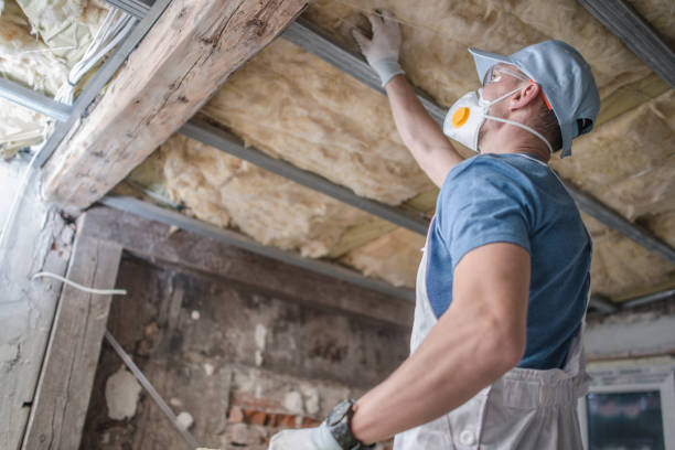 Types of Insulation We Offer in Oakdale, LA