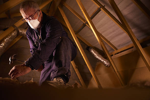 Best DIY Insulation Kits and Guidance in Oakdale, LA